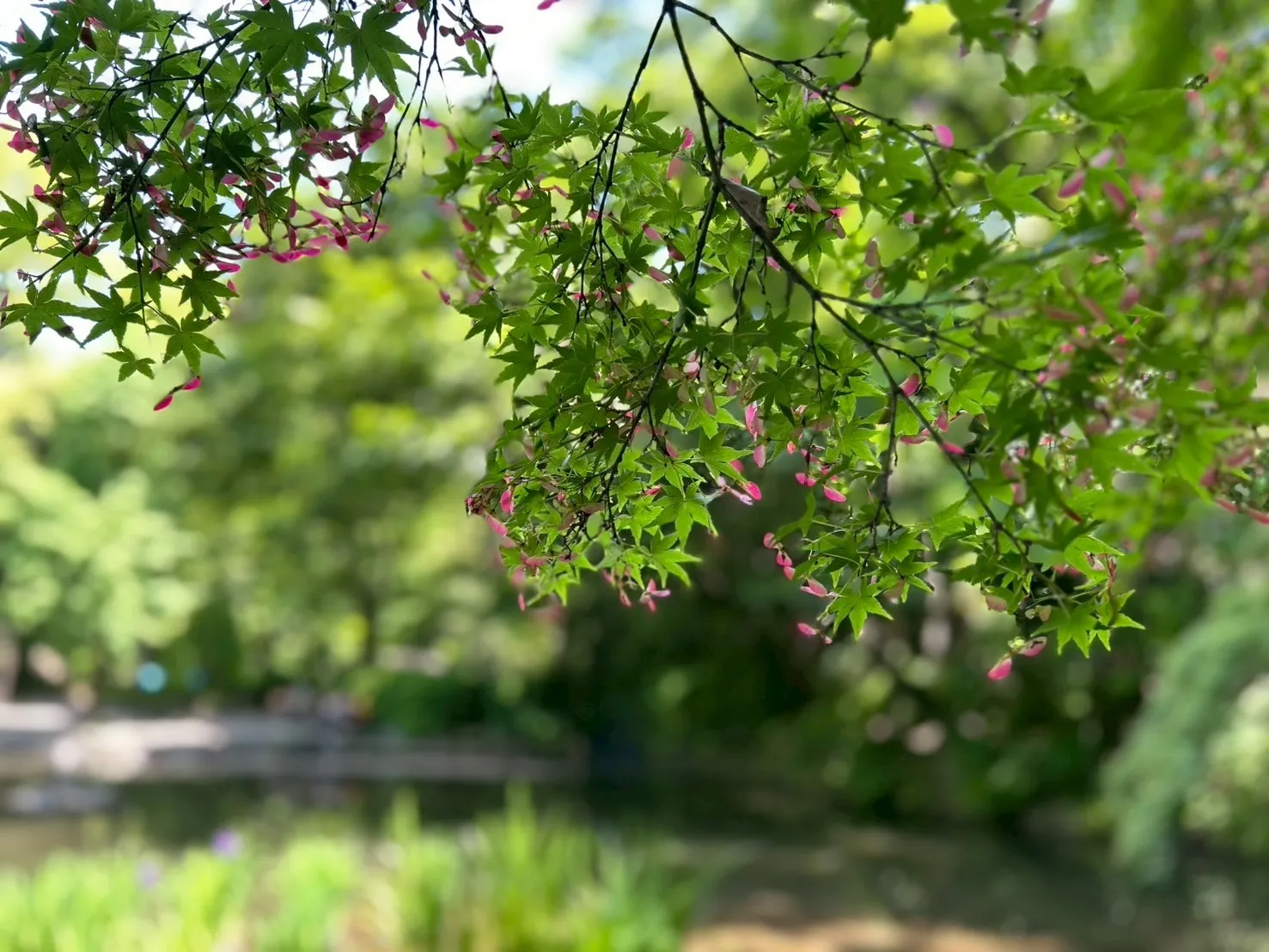 紫外線に負けないお肌ケアはぜひアレグリアスで!